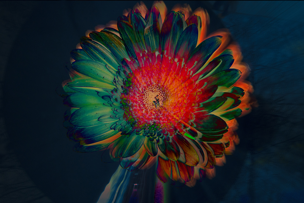 The Art of Seeing: Light and Color – Cape Viewfinders Zoom Presentation: The Art of Seeing: Light and Color