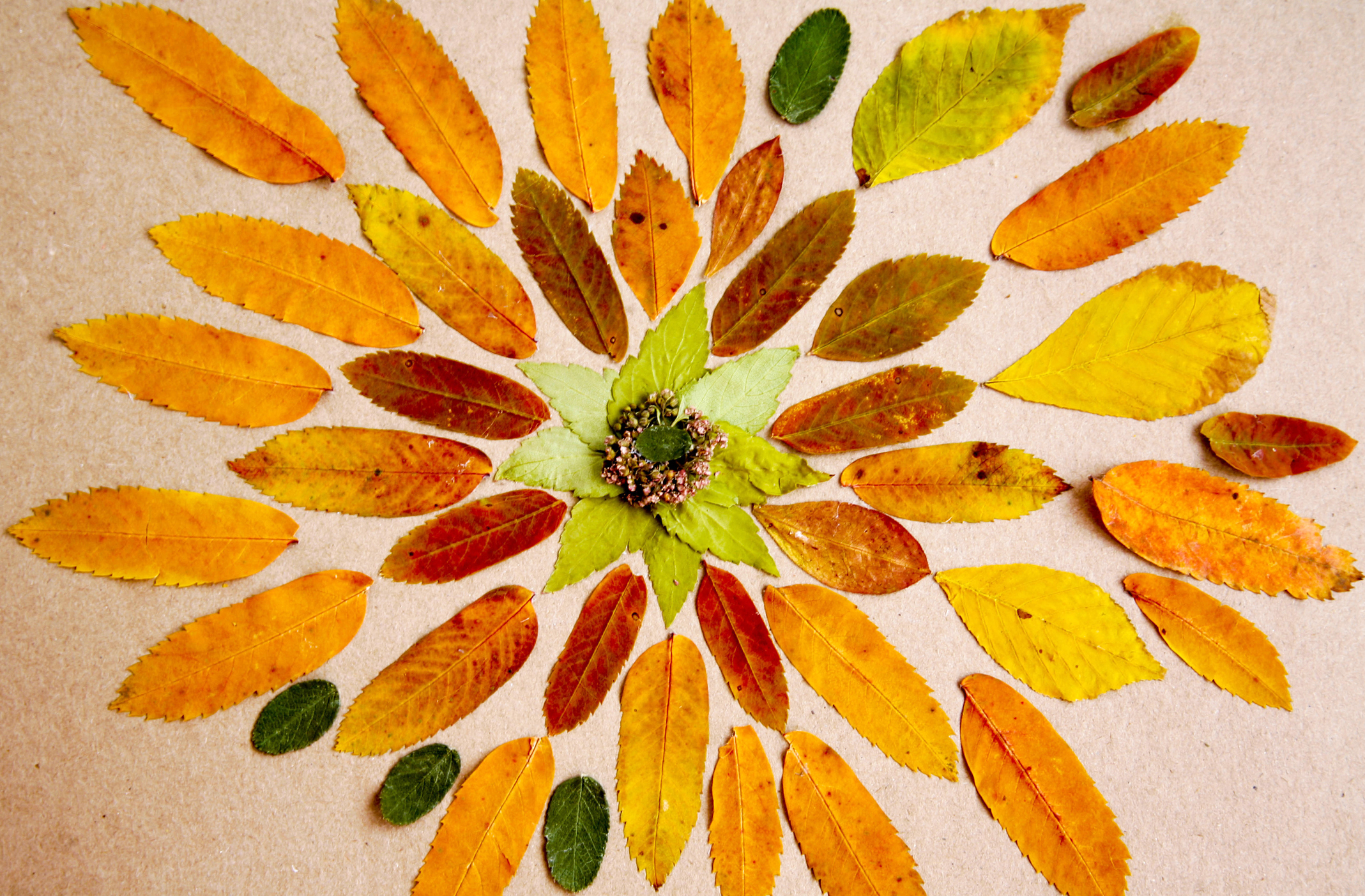 Where Wonder Grows: Nourishing the Spirit Workshop April 2026