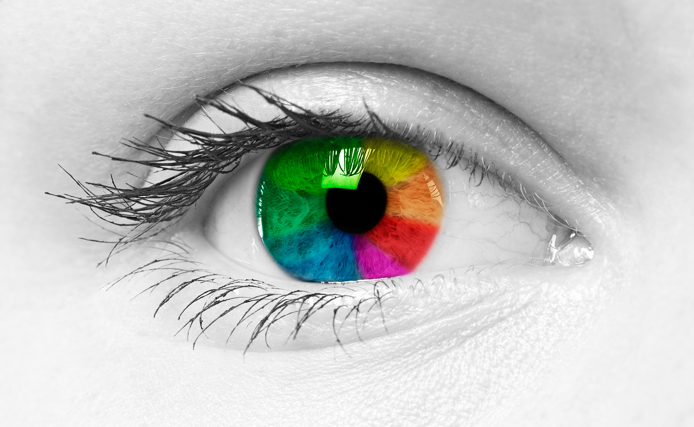 The Curious Eye: A Watercolor Workshop in Four Sessions November 2026